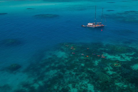 Ocean Free Green Island & Great Barrier Reef Snorkel Cruise, Cairns 25 Guests - Northern Rivers Accommodation 5