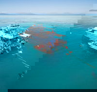 Ocean Freedom Great Barrier Reef Personal Luxury Snorkel  Dive Cruise Cairns - Northern Rivers Accommodation