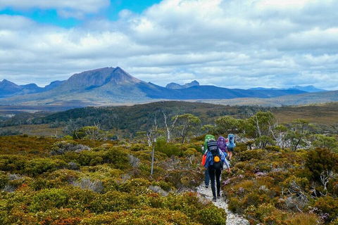 6 Day Trek The Cradle Mountain Overland Track - Northern Rivers Accommodation 5