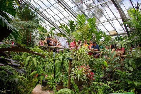 Australian Butterfly Sanctuary - Northern Rivers Accommodation 0