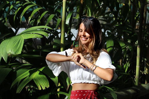 Australian Butterfly Sanctuary - Northern Rivers Accommodation 1