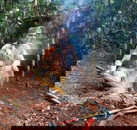 Kuranda Highlights including Rainforestation Aboriginal Culture and Wildlife - Northern Rivers Accommodation