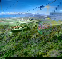 Best of Kuranda Including Skyrail Kuranda Scenic Railway and Rainforestation - Northern Rivers Accommodation