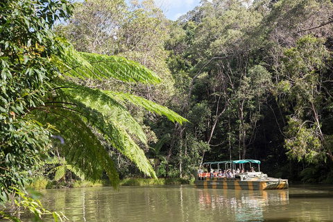 Best Of Kuranda Including Skyrail, Kuranda Scenic Railway And Rainforestation - Northern Rivers Accommodation 5