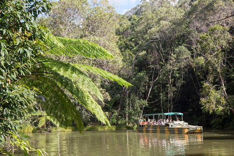Kuranda Village, Army Duck Tour With Train And Skyrail (KDB) - Northern Rivers Accommodation 4