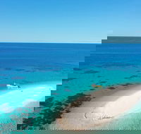 Ocean Safari Great Barrier Reef Experience in Cape Tribulation - Northern Rivers Accommodation