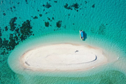 Ocean Safari Great Barrier Reef Experience In Cape Tribulation - Northern Rivers Accommodation 3