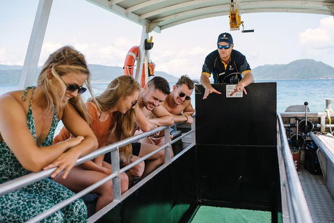 Fitzroy Island Day Trip From Cairns - Northern Rivers Accommodation 4