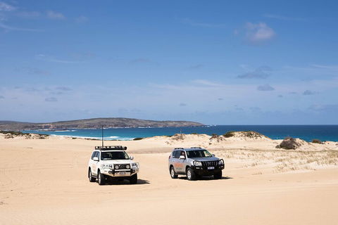 3 Day Port Lincoln And Coffin Bay Private Tour - Northern Rivers Accommodation 0