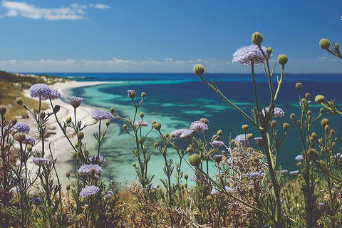 Rottnest Island Full-Day Trip With Guided Island Tour From Perth - Northern Rivers Accommodation 2