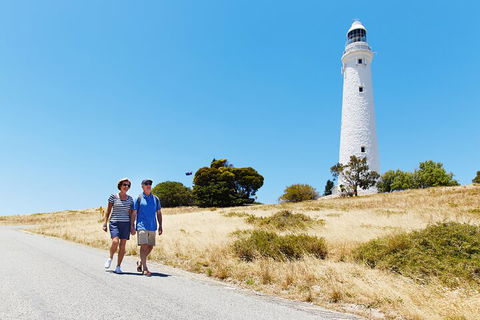 Rottnest Island Full-Day Trip With Guided Island Tour From Perth - Northern Rivers Accommodation 4