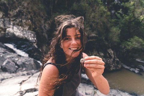 Springbrook AndTamborine Rainforest Tour Incl Natural Bridge And Glow Worm Cave - Northern Rivers Accommodation 1