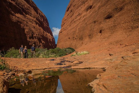 4 Day/3 Night Perentie Dreaming Safari - Northern Rivers Accommodation 3