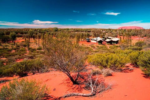 Overnight Uluru (Ayers Rock) Small-Group Camping Tour - Northern Rivers Accommodation 2