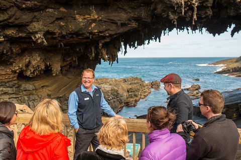 Kangaroo Island In A Day Tour From Adelaide - Northern Rivers Accommodation 3