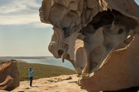 Kangaroo Island In A Day Tour From Adelaide - Northern Rivers Accommodation 5