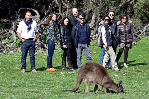 2-Day Kangaroo Island 4WD Small-Group Tour From Adelaide - Northern Rivers Accommodation 1