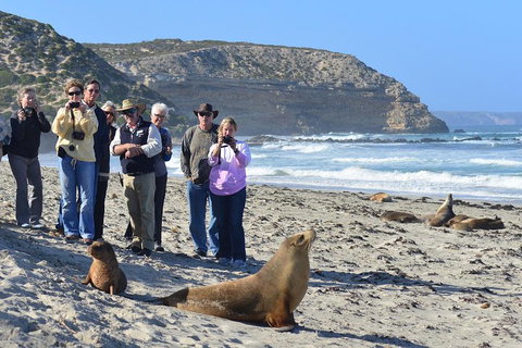 2-Day Kangaroo Island 4WD Small-Group Tour From Adelaide - Northern Rivers Accommodation 3