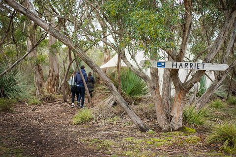 2-Day Kangaroo Island 4WD Small-Group Tour From Adelaide - Northern Rivers Accommodation 5