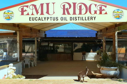 2 Day Ultimate Kangaroo Island With Return Ferry - Northern Rivers Accommodation 3