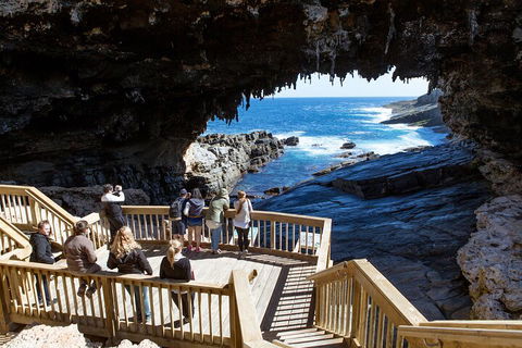 Full Day Flinders Chase Tour From Kangaroo Island - Northern Rivers Accommodation 1