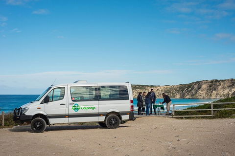 Full Day Flinders Chase Tour From Kangaroo Island - Northern Rivers Accommodation 3