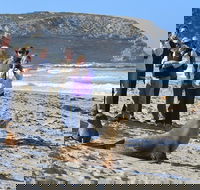 Full day Seal Bay Experience departing from Kangaroo Island - Northern Rivers Accommodation