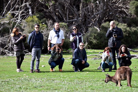 Small-Group Kangaroo Island 4WD Tour From Adelaide - Northern Rivers Accommodation 2