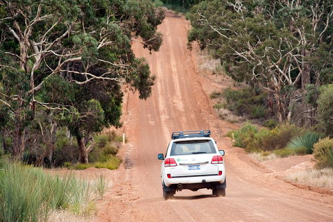 Small-Group Kangaroo Island 4WD Tour From Adelaide - Northern Rivers Accommodation 3