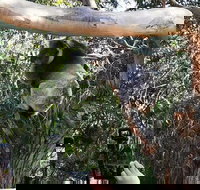 Small-Group Great Ocean Road Day Trip from Melbourne - Northern Rivers Accommodation