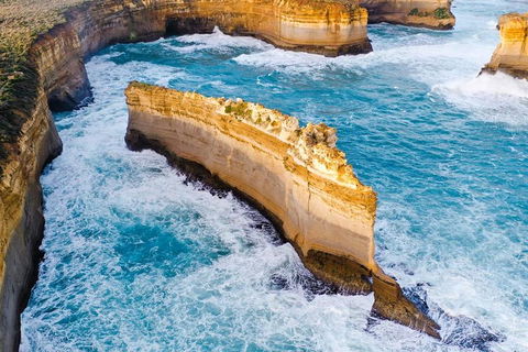 Small-Group Great Ocean Road Day Trip From Melbourne - Northern Rivers Accommodation 2