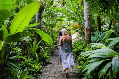 Cairns City Sights And Surrounds Tour - Northern Rivers Accommodation 2