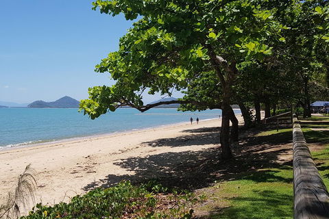 Small-Group Afternoon Cairns City Tour With Harbour Dinner Cruise - Northern Rivers Accommodation 1