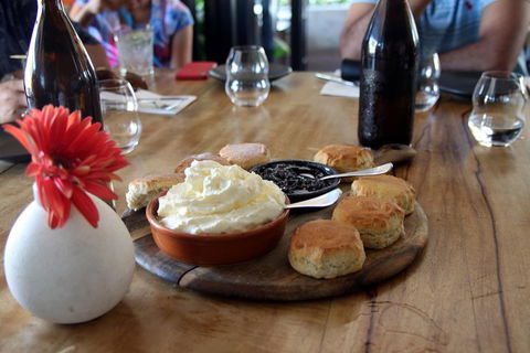 Small-Group Afternoon Cairns City Tour With Harbour Dinner Cruise - Northern Rivers Accommodation 3
