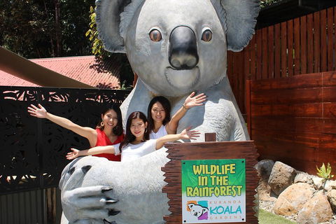 Kuranda Koala Gardens And Birdworld Admission Tickets - Northern Rivers Accommodation 3