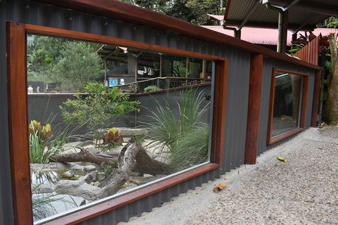 Kuranda Koala Gardens And Birdworld Admission Tickets - Northern Rivers Accommodation 4