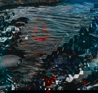 Cairns Aquarium Dive with the Sharks - Northern Rivers Accommodation