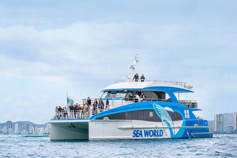 Whale Watching By Sea World Cruises - Northern Rivers Accommodation 3