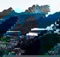 Cradle Mountain Park Explorer Guided Tour - Northern Rivers Accommodation