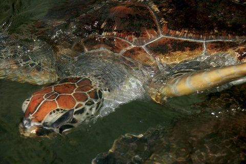 Cape Leveque 4WD Tour From Broome With Optional Return Flight - Northern Rivers Accommodation 2