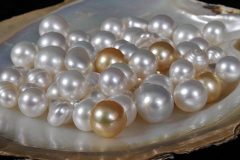 Cape Leveque 4WD Tour From Broome With Optional Return Flight - Northern Rivers Accommodation 5