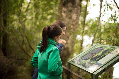 Strahan Day Trip By Air From Hobart Including A Gordon River Cruise - Northern Rivers Accommodation 5