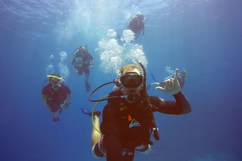 12-Day Great Barrier Reef Marine Conservation Program From Cairns - Northern Rivers Accommodation 0