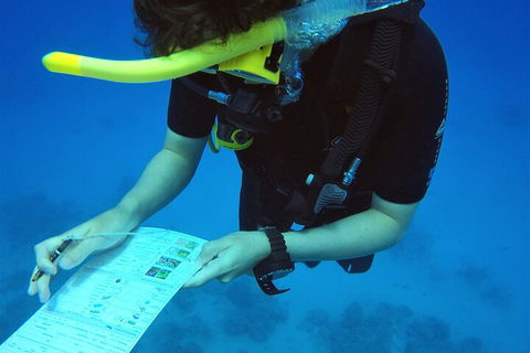 12-Day Great Barrier Reef Marine Conservation Program From Cairns - Northern Rivers Accommodation 2