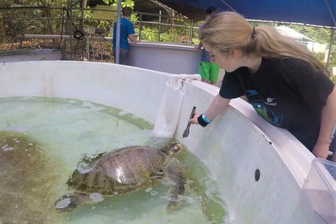 12-Day Great Barrier Reef Marine Conservation Program From Cairns - Northern Rivers Accommodation 4