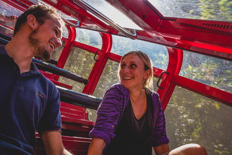 Blue Mountains Hop-on Hop-off Tour With Optional Scenic World Rides - Northern Rivers Accommodation 5
