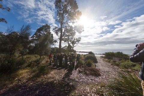 Bruny Island Day Tour, Includes Lunch And Exclusive Lighthouse Tour - Northern Rivers Accommodation 5