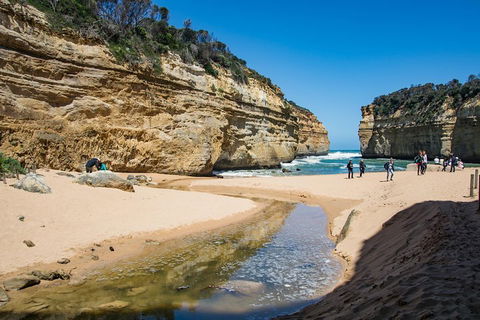 Great Ocean Road And 12 Apostles Day Trip From Melbourne - Northern Rivers Accommodation 2