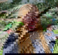 Great Ocean Road Reverse Itinerary with 12 Apostles from Melbourne - Northern Rivers Accommodation