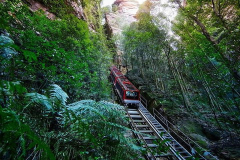 Blue Mountains Private Tour With Kangaroos & Koala Encounter - Northern Rivers Accommodation 1